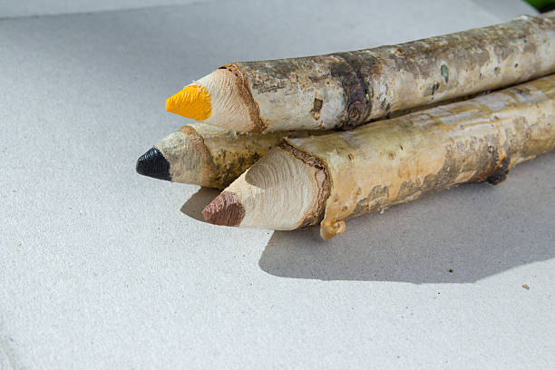istock wooden pencils 466164276