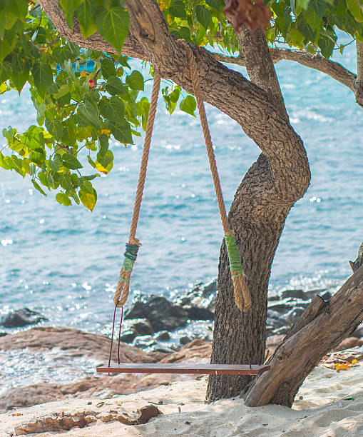istock Old wooden swing hanging 466165245
