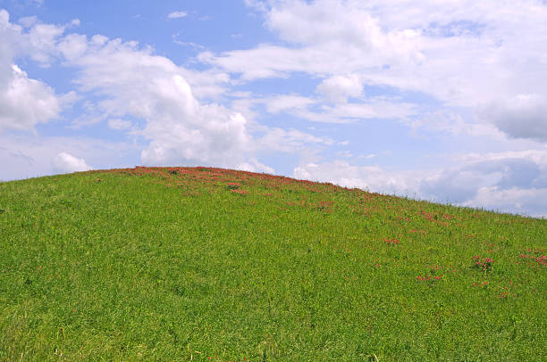 istock crete senesi, tuscany, italy 466169300