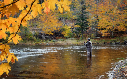 A fly fisherman spey casting for Atlantic Salmon on the Margaree River in the fall.