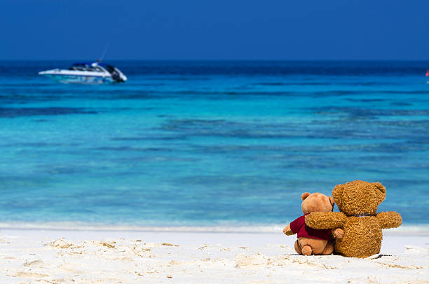istock Two TEDDY BEAR brown color sitting on the beautiful beach 466171893