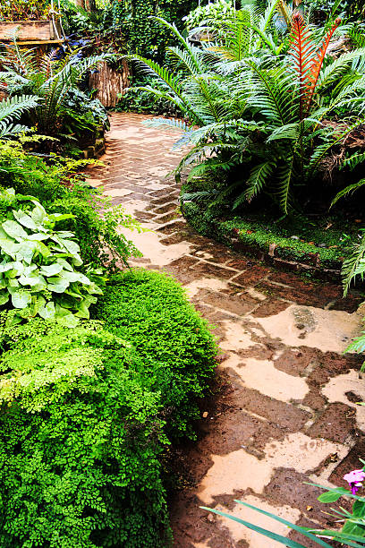 istock Landscaping in the garden 466173493