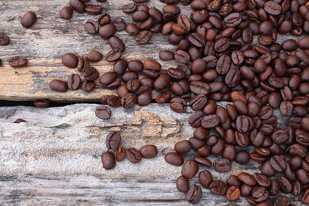 grãos de café - coffeetree - fotografias e filmes do acervo