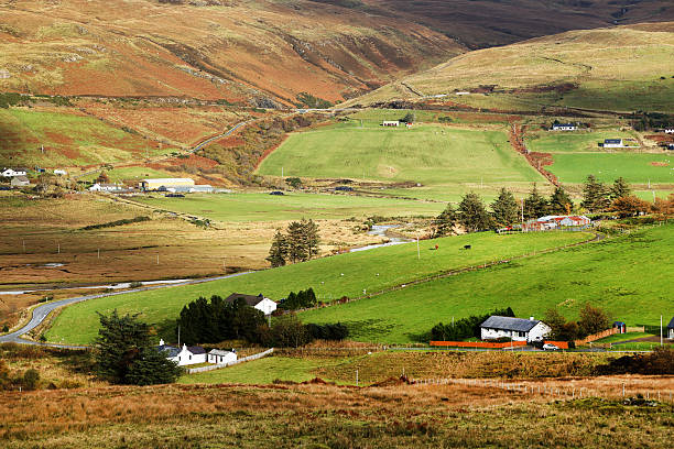 istock Autumn colours in Highlands 466179329