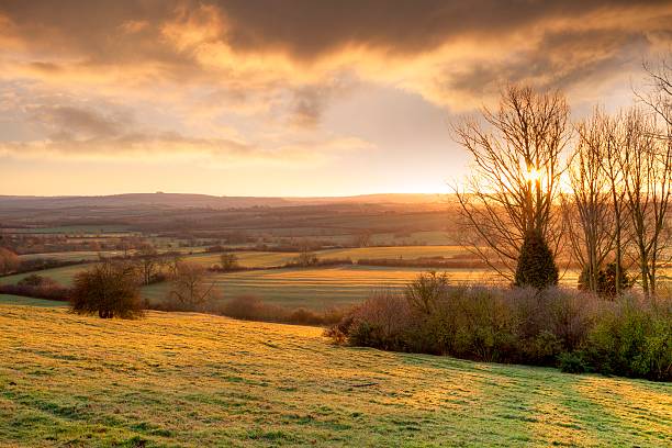 istock Golden winters morning, England 466179587