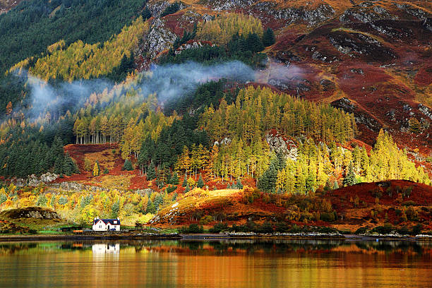 秋の色合いの高地 - scotland ストックフォトと画像