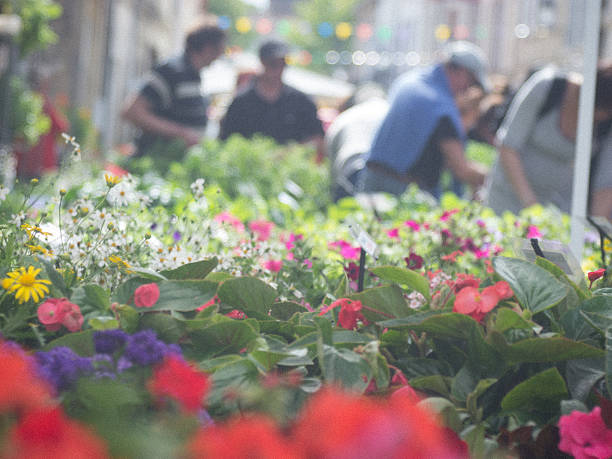 istock Flower festival 466183722