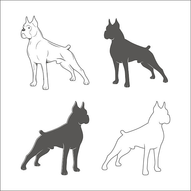 silhouette der hund - white background side view dog boxer stock-grafiken, -clipart, -cartoons und -symbole