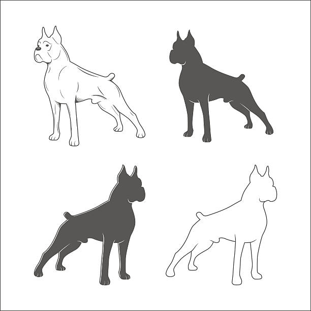 실루엣 개 - white background side view dog boxer stock illustrations