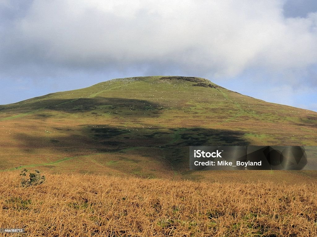 The Sugar Loaf Sugar Loaf, Abergavenny, Monmouthshire, Wales, UK, Black Mountains, hill, mountain, summit, peak, Brecon Beacons Brecon Beacons Stock Photo