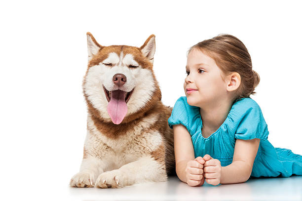 istock Girl with a husky 466190426