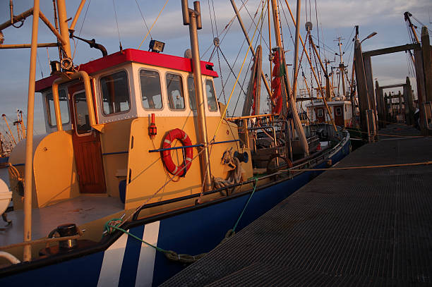istock Fishing boat in the harnor 466193410