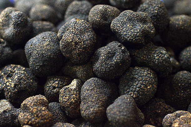 truffle - truffle tuber melanosporum mushroom 個照片及圖片檔
