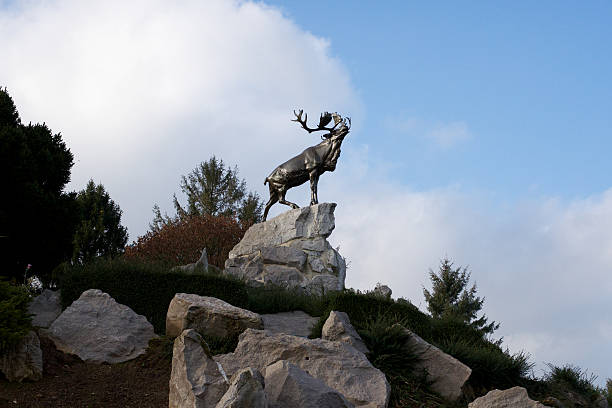 Magnificent red deer stag with antlers standing on a heather clad mountain side high in the remote wilderness of north west Scotland overlooking the blue waters of a loch in the glen below.