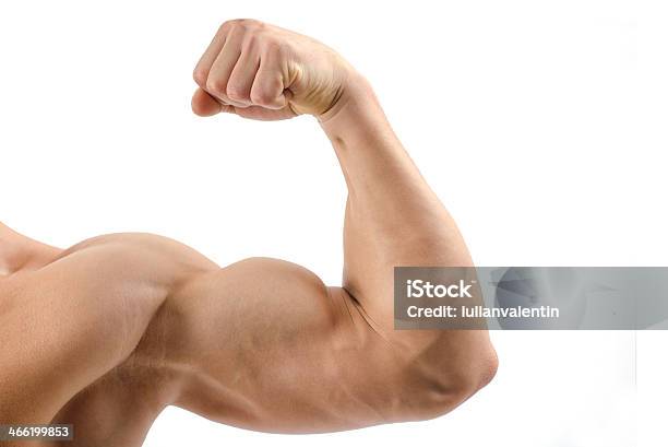 Primer Plano De Un Bodybuilder Biceps Hombro Foto de stock y más banco de imágenes de Musculoso - Musculoso, Fuerza, Bíceps