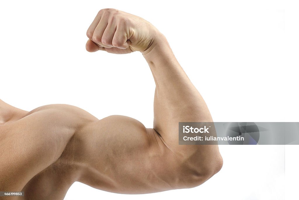 Close up on a bodybuilder biceps,shoulder Close up on a bodybuilder biceps,shoulder,arm isolated on white background Muscular Build Stock Photo