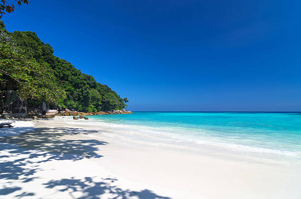 istock Tropical beach with sea on the sand and trees 466200431