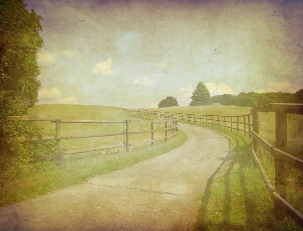 grunge image of green field and blue sky