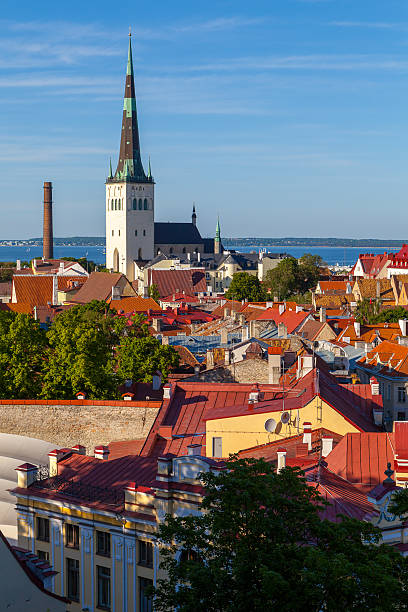 istock Panorama of Tallinn's old town at sunset 466201460