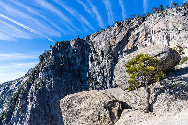 Pine tree grows in rock on upper Yosemite falls stock photo