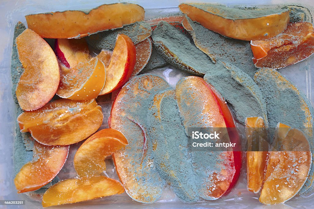 Fungi in fruit Apple - Fruit Stock Photo