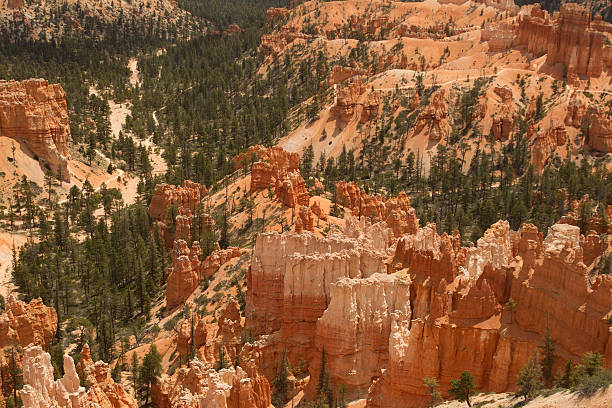 istock Landscape Scene from Bryce National Park 466204631