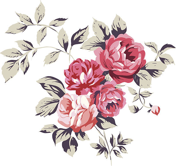 ilustraciones, imágenes clip art, dibujos animados e iconos de stock de vintage rosa rosas - flower illustration and painting single flower textile