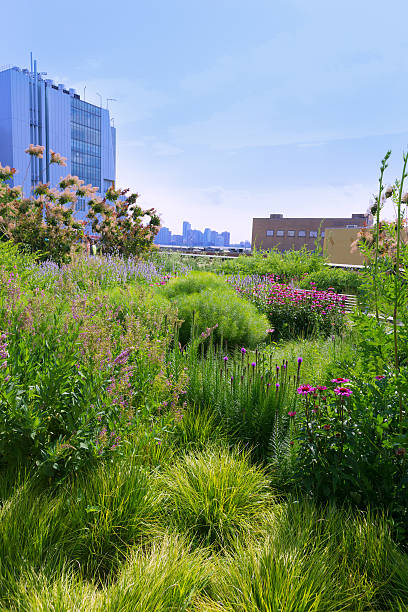istock High Line Park Manhattan New York US 466206278