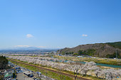 cherry-blossoms-shiroishigawa-tsutsumi-sembonzakura.jpg?b=1&s=170x170&k=20&c=W0kdZv0rvSho4o2fH77VjmybsuQd_9sHrU8cHO3j8A8=