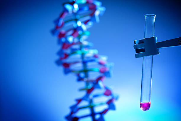 istock Genome Project with DNA Genetic Sample in Test Tube 466211355