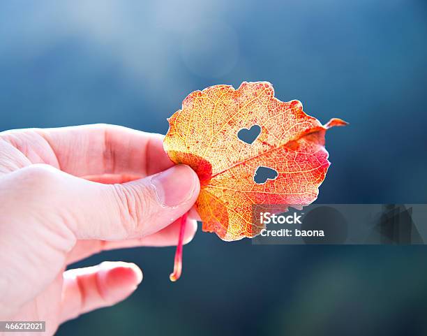 Amor Corazón Foto de stock y más banco de imágenes de Aire libre - Aire libre, Amor - Sentimiento, Azul