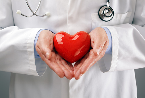 Doctor or cardiologist holding heart with care in hands concept for healthcare and diagnosis medical cardiac pulse test