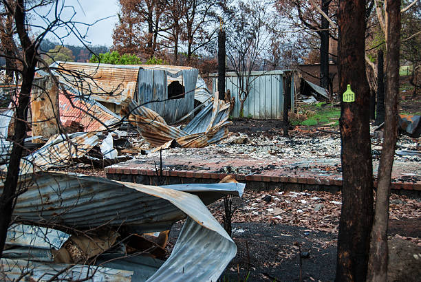 istock Melbourne bushfires australia 2009 Black Saturday 466214796