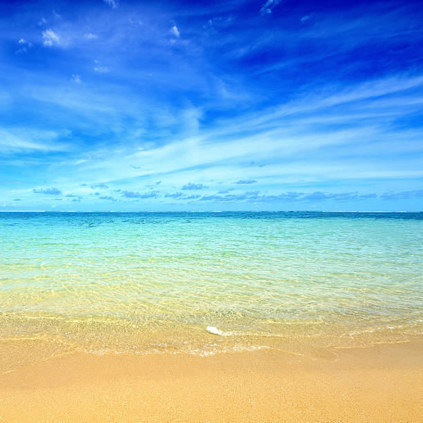 istock Beach scene showing sand, sea and sky 466215071