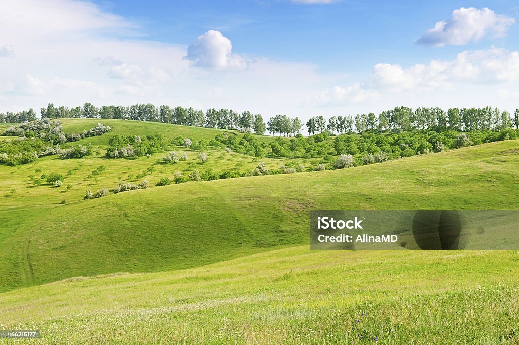 Terreno montanhoso e céu azul - Foto de stock de Agricultura royalty-free