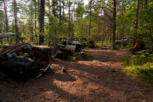 istock Car Dump in Kirkoe Mosse 466216414