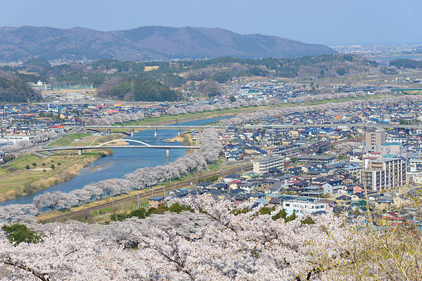 istock Cherry blossoms, Funaoka Castle Park 466219032
