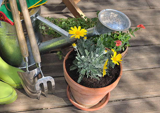 istock accessories garden in patio 466219062