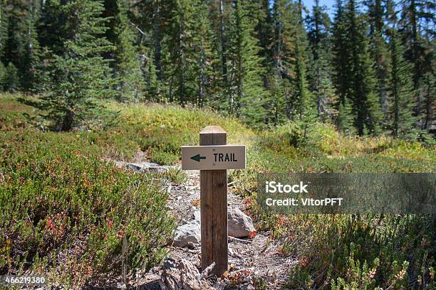 Trail Stock Photo - Download Image Now - Hiking, Colorado, Footpath