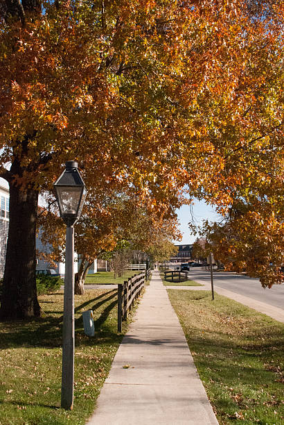 istock Quiet Tree Lined Sidewalk and fences Amana Iowa 466221559