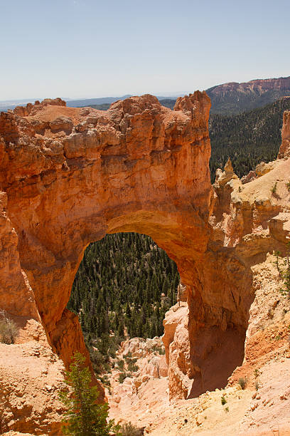 istock Landscape Scene from Bryce National Park 466221945