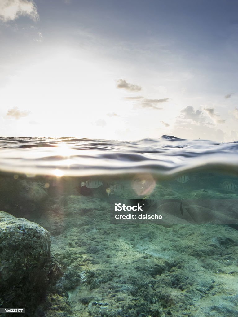 Sonnenuntergang über unter Aufnahme mit Fisch, Himmel und Wolken - Lizenzfrei Insel Maui Stock-Foto