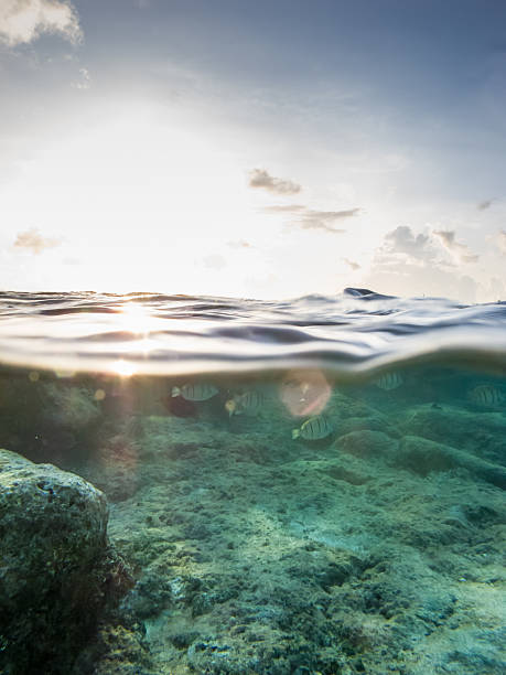 istock Sunset over under shot with fish, sky and clouds 466223177