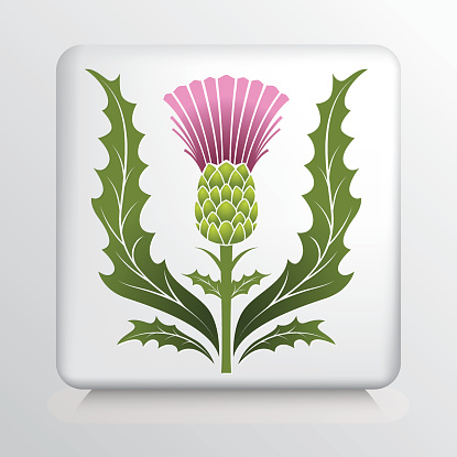Icon With Scotch Thistle And Leaves