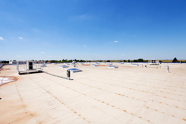 tetto piano sulla industrial hall - clear sky outdoors horizontal close up foto e immagini stock