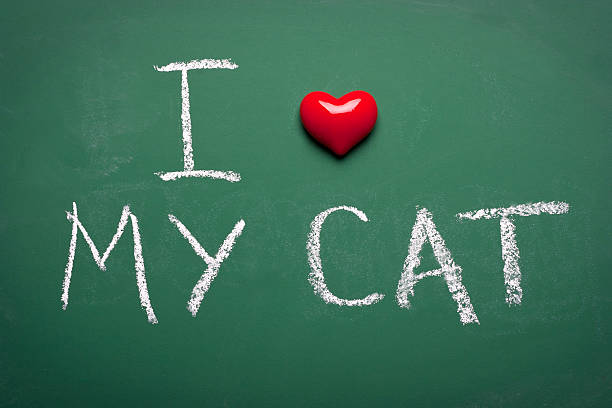 istock I love my cat 466225291