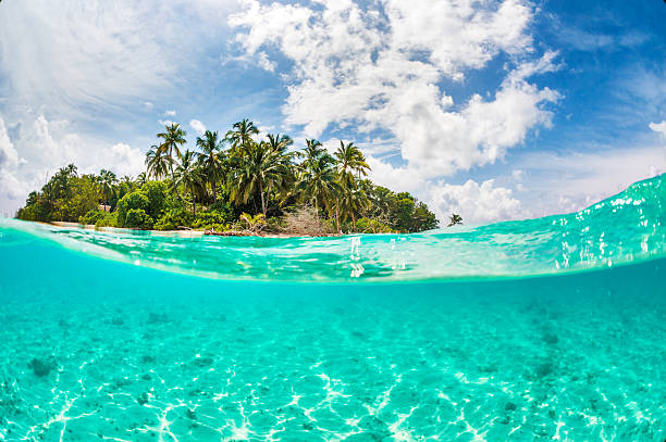 istock Swimming towards island 466225435