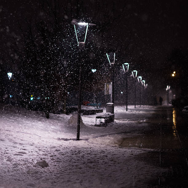 istock Street lamps at winter 466226226