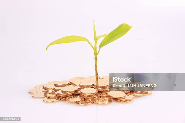 Concept The Growth Of Wealth Stock Photo - Download Image Now - 2015, Agriculture, Bank Deposit Slip