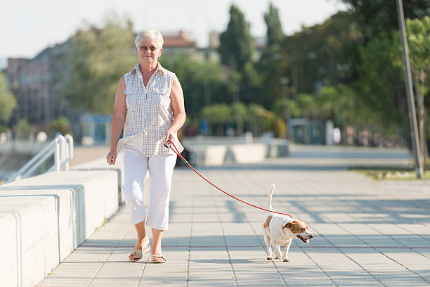 istock Senior woman and her dog 466229101